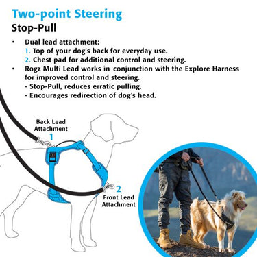 Rogz Explore Dog Harness - BLACK Small